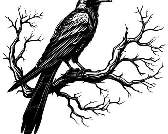 Raven on Tree Branch Svg & PNG Files, Halloween Raven Clipart Silhouette Vector Image, Bird SVG For T shirt Design Transparent Background