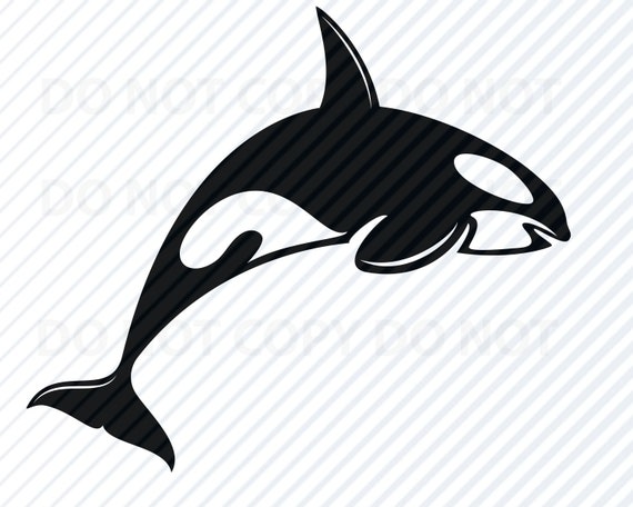 Killer Whale Svg File Images Orca Silhouette Mammal Etsy
