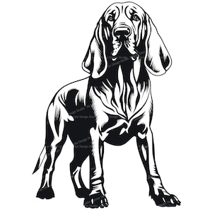 Bloodhound SVG & Png File, Silueta de imágenes prediseñadas de perro sabueso, Imágenes vectoriales de raza de perro, Clip art de perro de caza, SVG para camisas, Digital