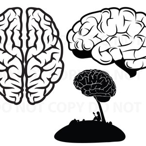 Puede incluir: Ilustración en blanco y negro de línea de arte de tres cerebros humanos. Los cerebros están dibujados en un estilo realista, con pliegues y circunvoluciones detalladas. Los cerebros están dispuestos de una manera que sugiere crecimiento y desarrollo.
