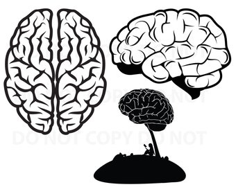 Brain SVG File Bundle - Reading Vector Images Clipart Human Brain  SVG cut image -Eps, Png ,Dxf  Stencil Clip Art - reading