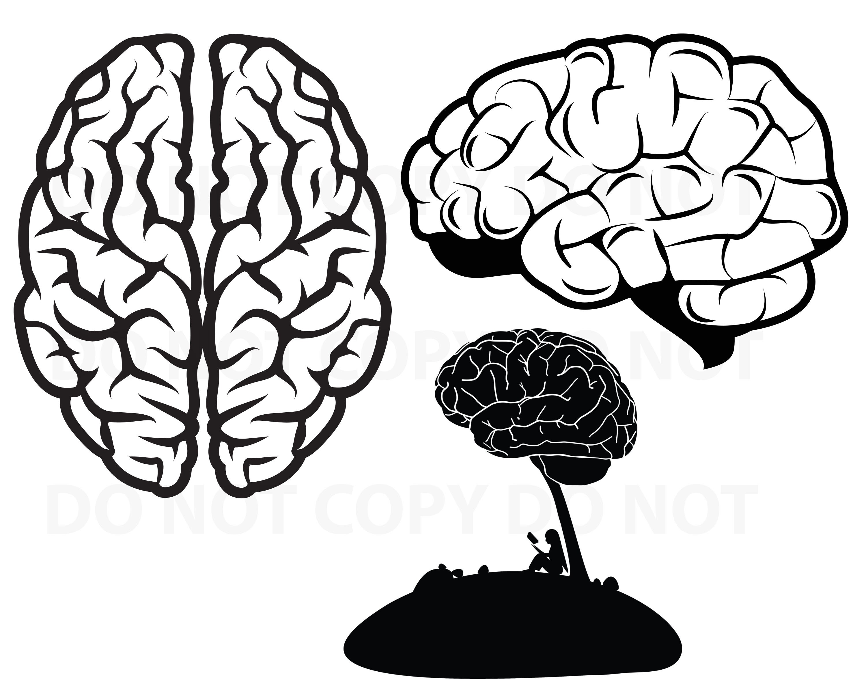 Download Brain Svg File For Cricut Bundle Reading Vector Images Etsy