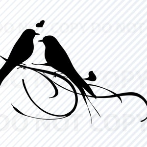 Lovebirds SVG-Dateien - Liebe Vögel Vektor Bild Clipart -Liebe Vögel SVG-Datei - Vogel Silhouetten - Eps,Dxf -Clip Art Liebe Vogel png