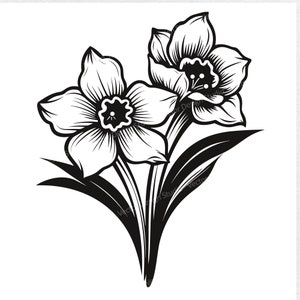 Narcissus Flower SVG-bestand voor de geboortemaand van december - Floral Vector Images, Flowers Silhouette, Narcissus SVG design, Flower ClipArt
