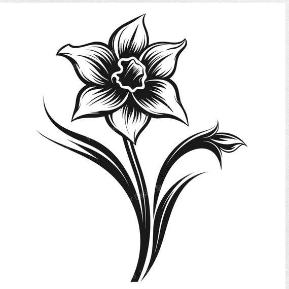 Daffodil flower cut out Royalty Free Vector Image