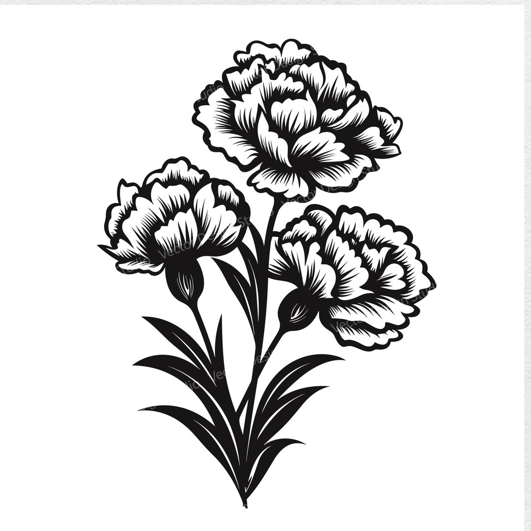 Carnations SVG File for January Birth Month Floral Vector Images, Flowers Silhouette, Carnation