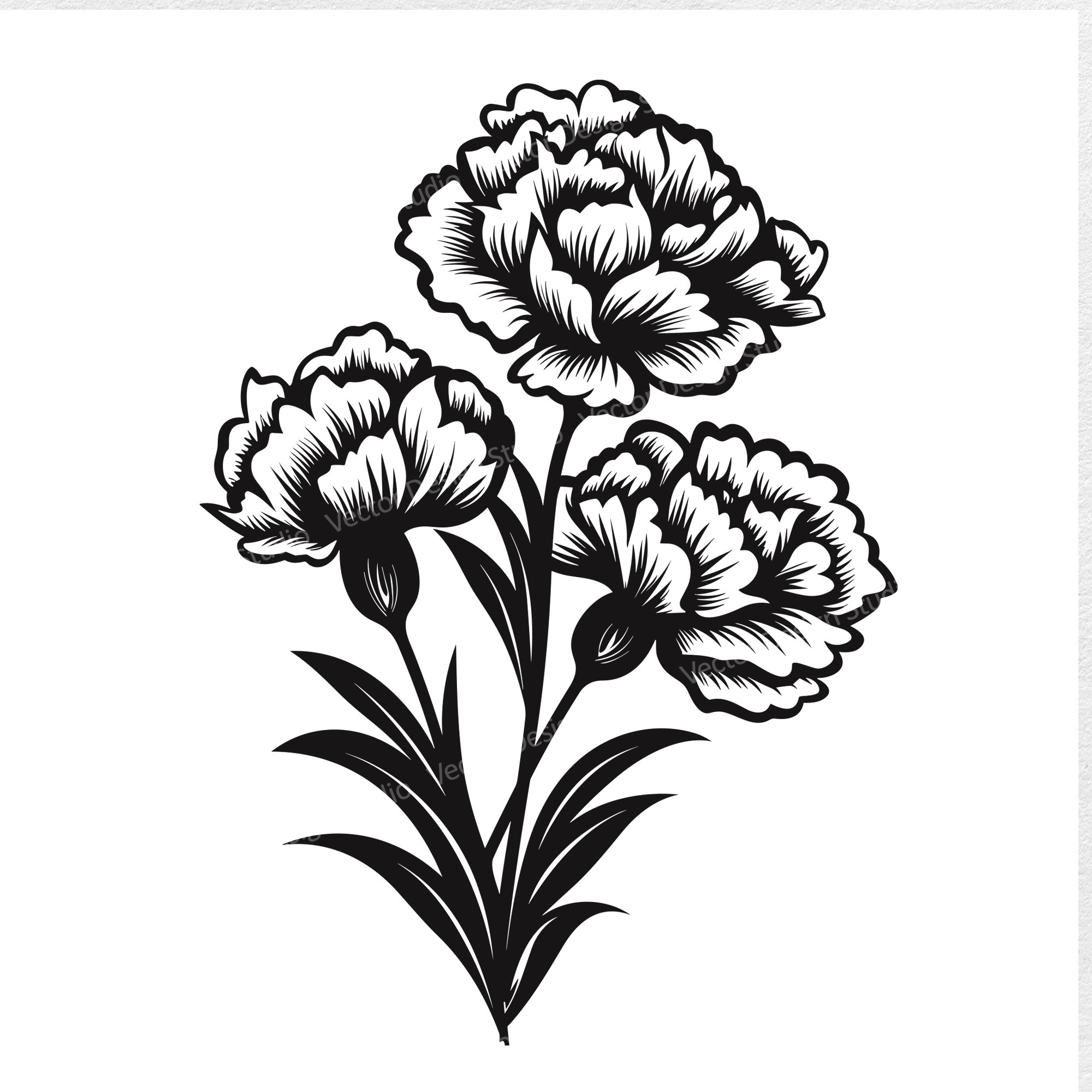 Carnations SVG File For January Birth Month - Floral Vector Images, Flowers  Silhouette, Carnation Flower SVG design, Birth flower ClipArt, image size:2000x2000