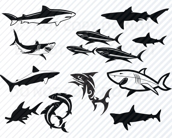 Free Free 237 Shark Svg SVG PNG EPS DXF File