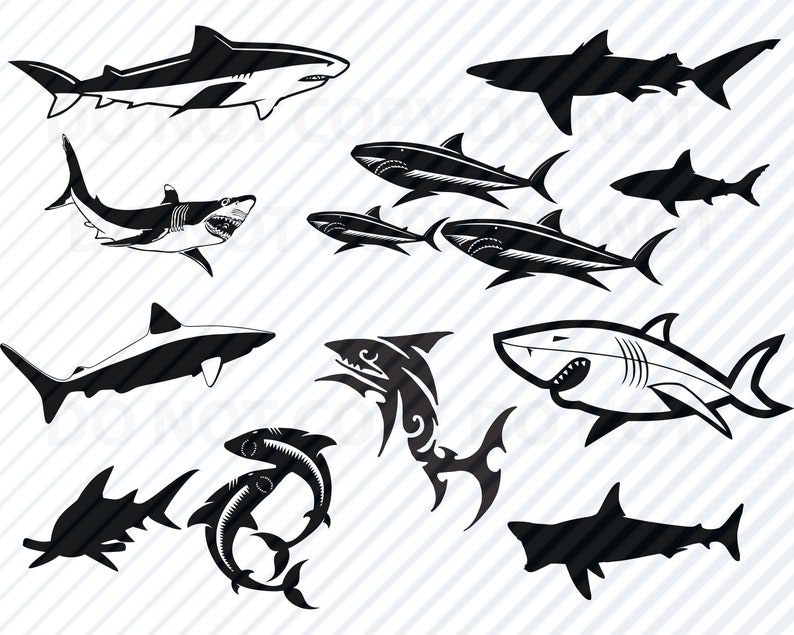 Download Shark SVG Bundle Sharks svg Vector Images Great White Clip ...