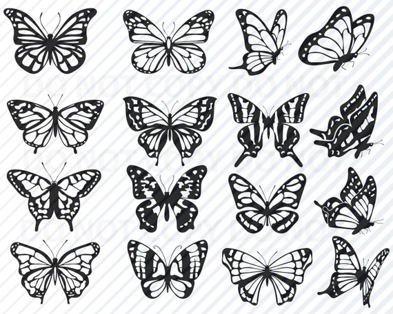 Free Free Monarch Butterfly Svg File 45 SVG PNG EPS DXF File