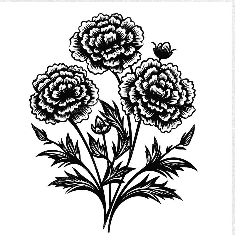 Marigold Flower Template Svg Etsy