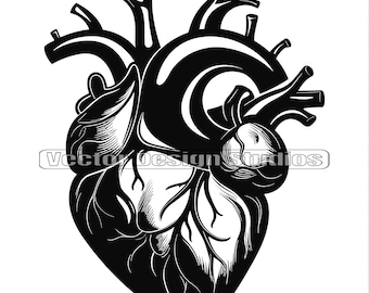 Anatomic Heart Svg Floral Hearth Clipart Anatomical Heart - Etsy