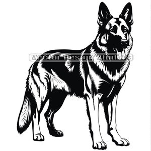 Deutscher Schäferhund SVG & Png Datei, Deutscher Schäferhund Clipart Silhouette, Hunderasse Vektor Bilder, k-9 ClipArt, Polizeihund SVG für Shirts
