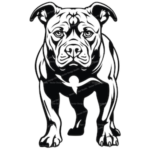 Pitbull hund SVG & PNG-fil, Pitbull Clipart Silhuett, Hundrasvektorbilder, Clip Art, SVG för T-shirts