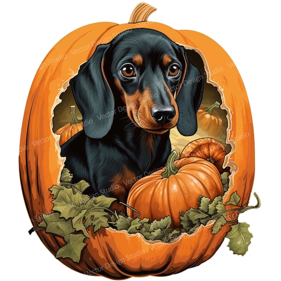 Weiner dog clearance pumpkin