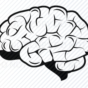 Puede incluir: Un dibujo en blanco y negro de un cerebro humano. El cerebro está representado en un estilo de dibujos animados con pliegues y arrugas exagerados.