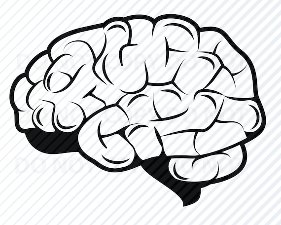 Download Brain 2 Svg File For Cricut Brians Vector Images Clipart Etsy