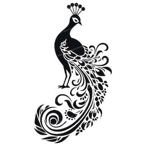 Peacock Svg & PNG Files ,Bird Silhouette Vector Image Clipart, Cut files, SVG For T shirt Design, Transparent Background,
