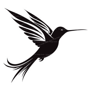 Hummingbird Svg & PNG Files, Bird Silhouette Clipart, Vector Images, SVG For T shirt Design, Transparent Background Print file