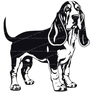 Basset Hound SVG & Png File, Silueta de imágenes prediseñadas de perro, Imágenes vectoriales de raza de perro, Clip art de animales de compañía, SVG para camisas, Archivo de impresión digital