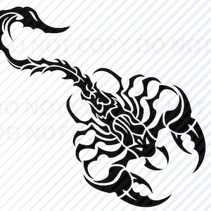 Tribal Scorpion SVG Files  - Black & White Vector Images Clip Art SVG Files - Eps, Png, dxf Scorpion ClipArt Silhouette