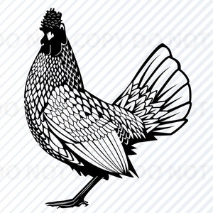 Chicken SVG Files Clipart - Clip Art Silhouette Vector Images - Farm animal SVG Image Rooster - Eps, Png ,Dxf  Chickens chick svg