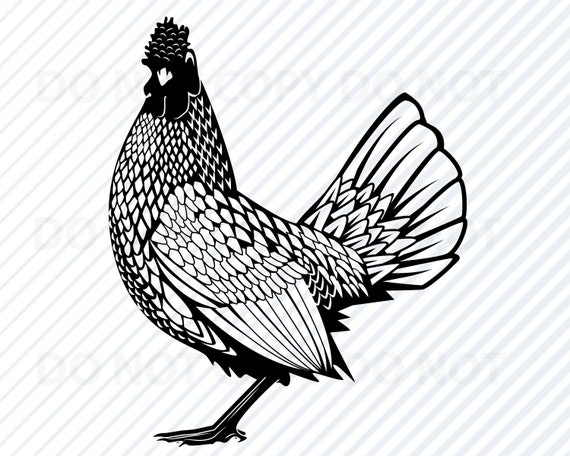 Download Chicken Svg Files For Cricut Clipart Clip Art Silhouette Etsy