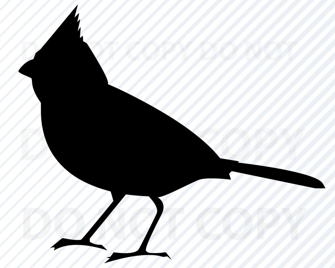 Cardinal SVG Files Cardinal Vector Image Clipart Birds SVG File