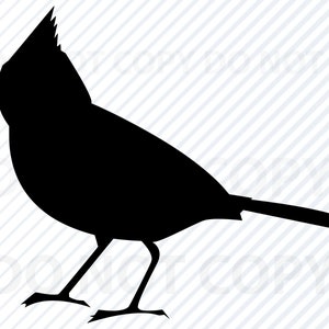 Archivos SVG cardenal - imágenes prediseñadas de imagen vectorial cardenal - archivo SVG de aves - silueta cardenal - Eps, pájaro Dxf Clip Art cardenal png