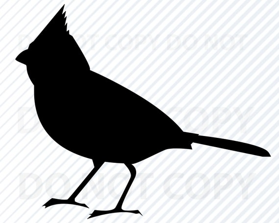Cardinal Svg Files Cardinal Vector Image Clipart Birds Svg Etsy