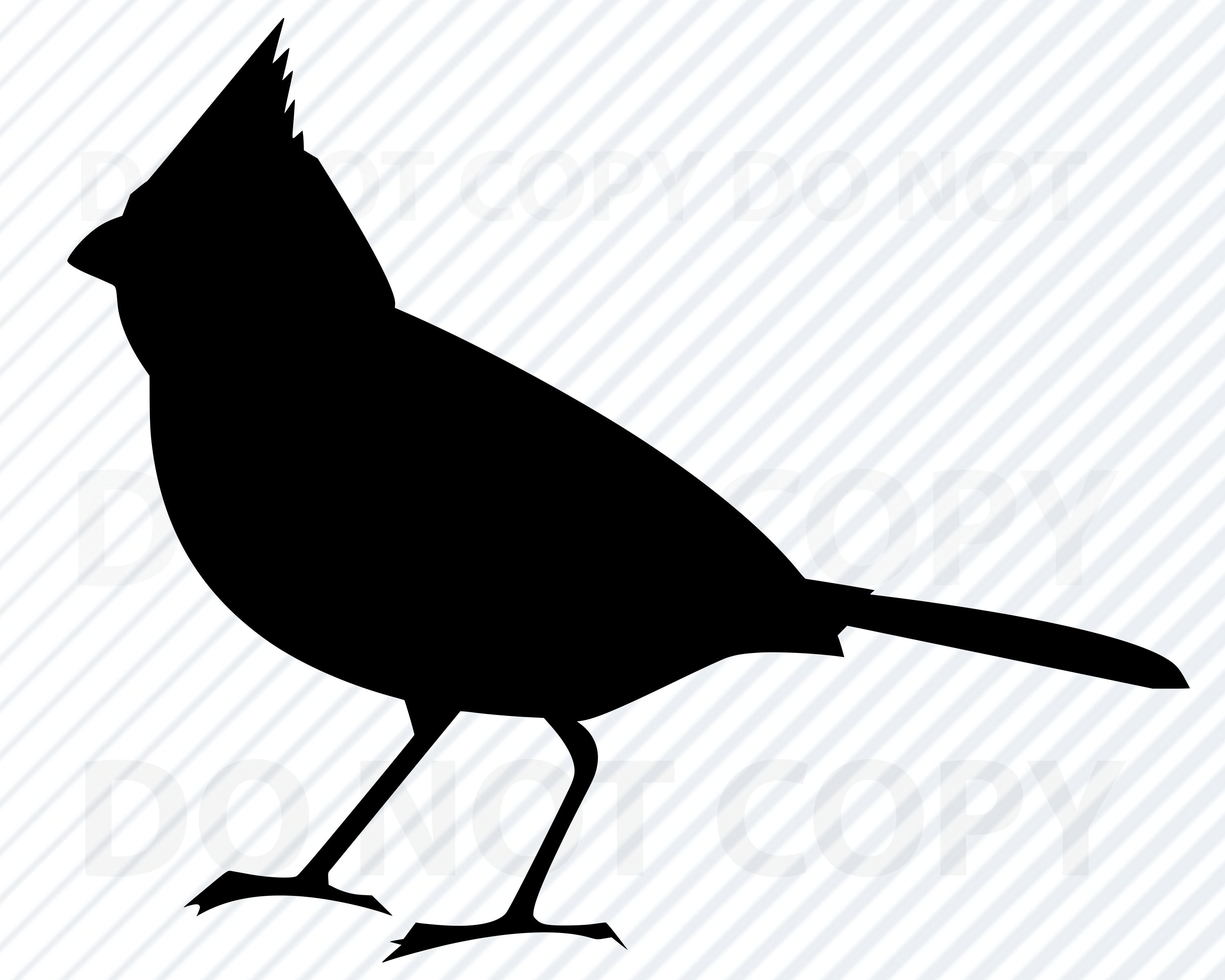 Download Cardinal SVG Files Cardinal Vector Image Clipart Birds SVG ...