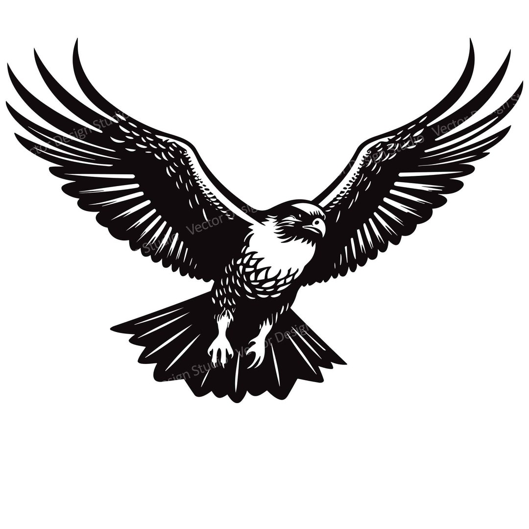 Falcon Flying SVG File Flying American Falcon Vector Images, Falcon