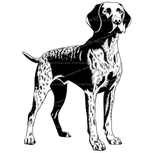 German Short Haired Pointer SVG & Png File, Dog Clipart Silhouette, Dog Breed Vector Images, Hunting Dog Clip art, SVG for Shirts, Digital