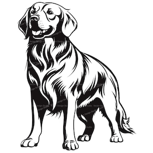 Arquivo SVG e PNG de Golden Retriever, silhueta de clipart de cachorro, imagens vetoriais de raça de cachorro, clipart de cachorro Goldie, SVG para camisas, arquivo de impressão digital