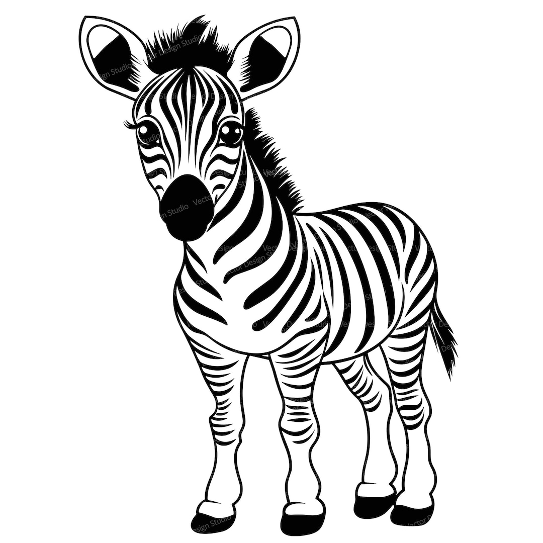 Cute Baby Zebra Svg & PNG Files, Baby Safari Animals Clipart Silhouette