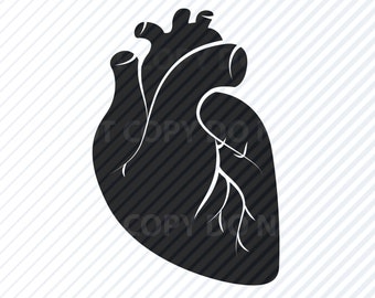 Anatomical Heart #4 SVG Files - medical svg  Clipart - Anatomy silhouette Files SVG Image Eps, Png ,Dxf  Stencil Clip Art