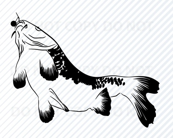 Free Free 79 Carp Fish Svg SVG PNG EPS DXF File
