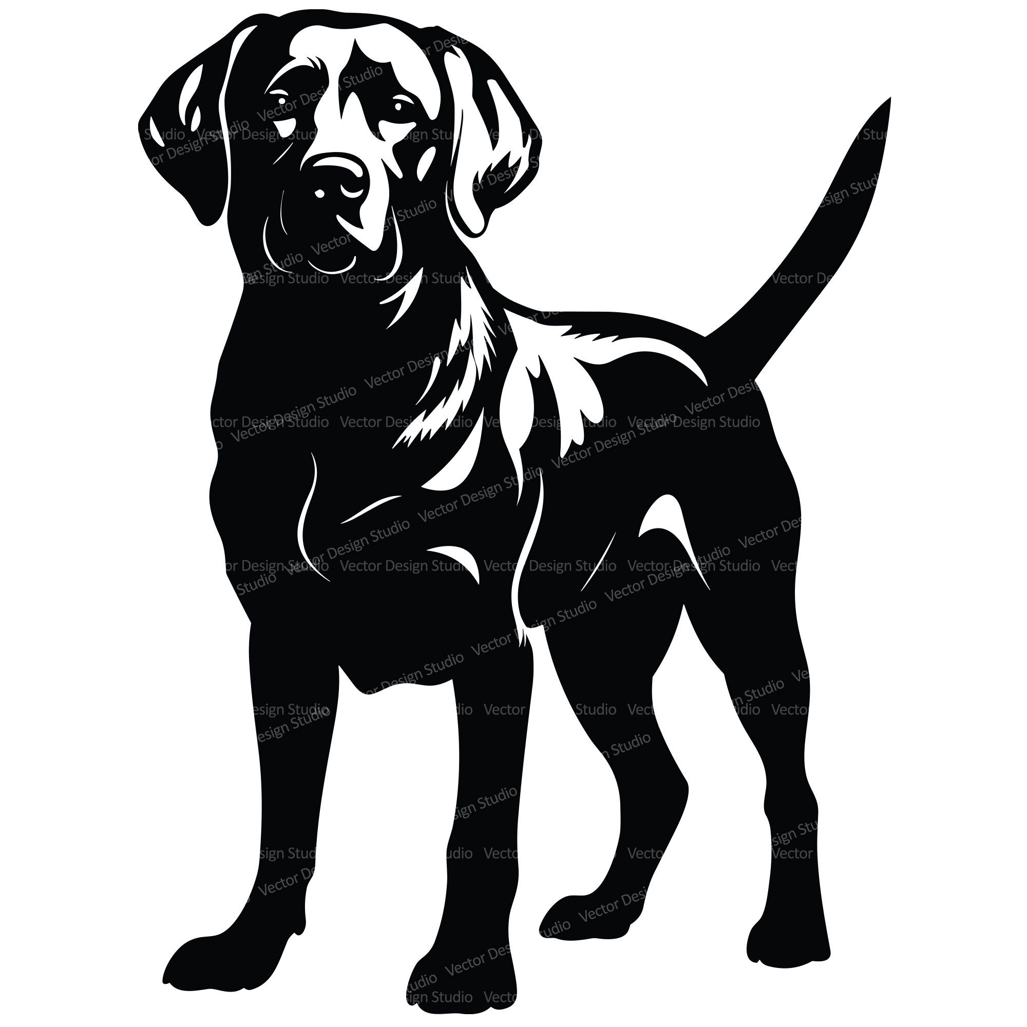 Labrador Retriever SVG & Png File, Dog Clipart Silhouette