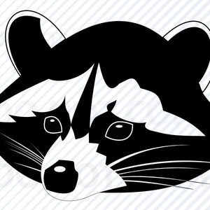 Raton laveur visage SVG fichier - raton laveur Image vectorielle - raton laveur des bois - Eps, raton laveur Png, Dxf cnc fichier - tête de raton laveur svg