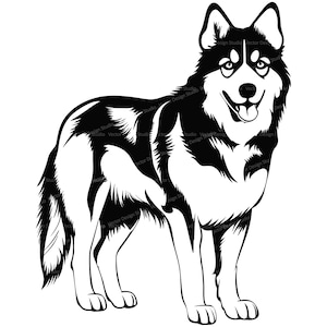 Siberian Husky SVG & Png File, Dog Clipart Silhouette, Dog Breed Vector Images, Pet animals Clip art, SVG for Shirts, Digital Print file