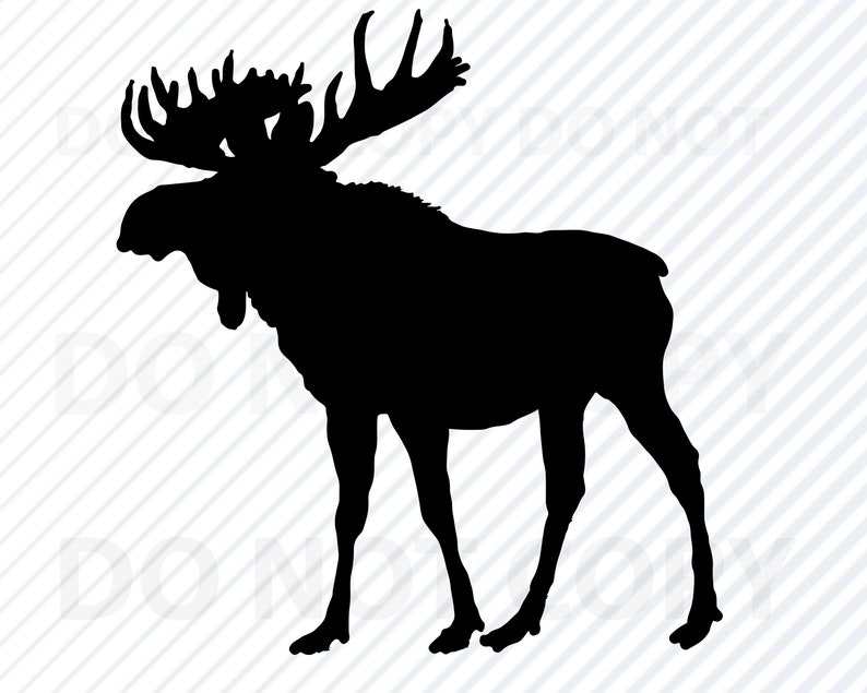 K&ouml;nnte beinhalten: Schwarze Silhouette eines Elchs mit gro&szlig;en Geweih. Der Elch steht auf einem wei&szlig;en Hintergrund mit diagonalen Streifen.