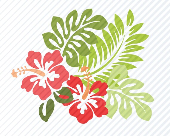 PNG Cookie Stencil Digital Download Cutting File SVG 1 piece DIGITAL Hibiscus Background Stencil
