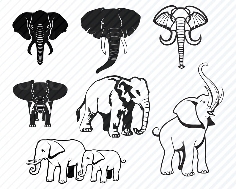 Vector Images Clipart Dxf Africa Svg Image For Cricut Png Elephant Svg Bundle Elephants Svg Files African Elephant Clip Art Eps Clip Art Art Collectibles Jewellerymilad Com