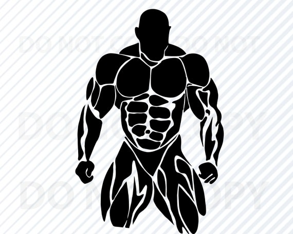 Abdominal Muscles PNG Transparent Images Free Download, Vector Files