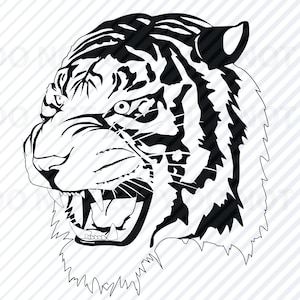 May include: A black and white illustration of a tiger's head, depicting a ferocious expression. The tiger's mouth is open, displaying sharp teeth, and its eyes are focused. The image is a detailed line drawing, highlighting the tiger's features.