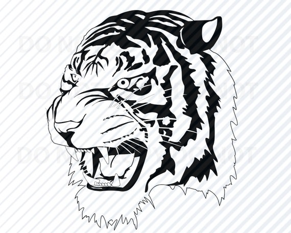 Tiger Line Royalty Free SVG, Cliparts, Vectors, and Stock Illustration.  Image 53980248.