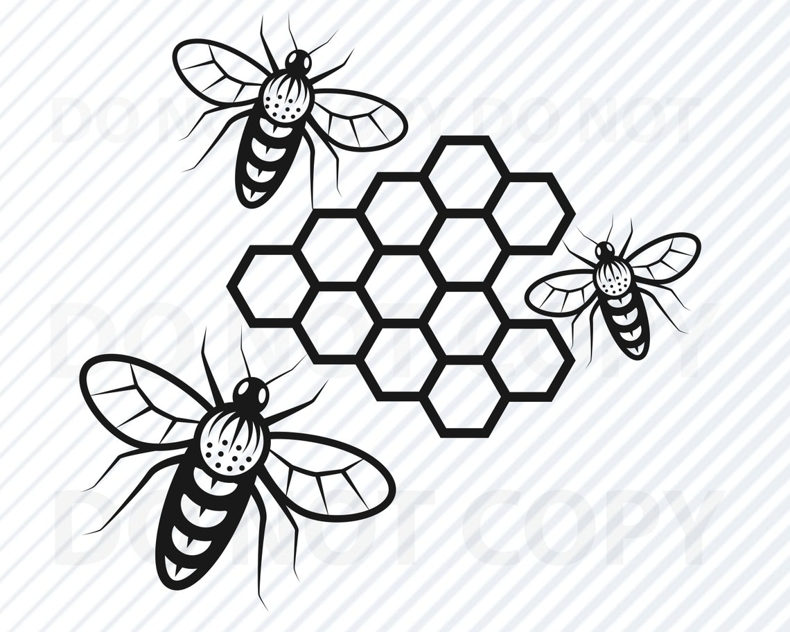 BEE HIVE