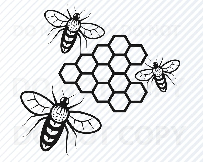 Download Dxf Stencil Clipart Honey Comb Svg Bee Vector Image Silhouette Clip Art Bumblebee Svg Files For Cricut Eps Bee Png Honey Bee Svg Files Clip Art Art Collectibles