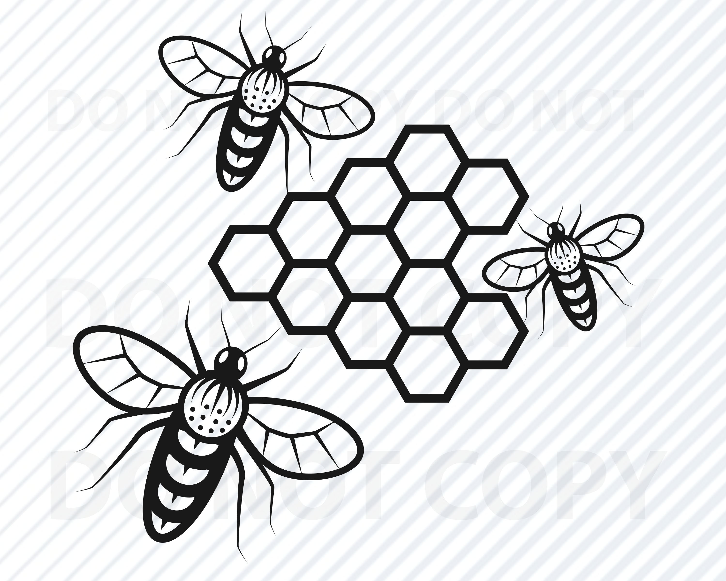 Honey Bee Clipart Black And White