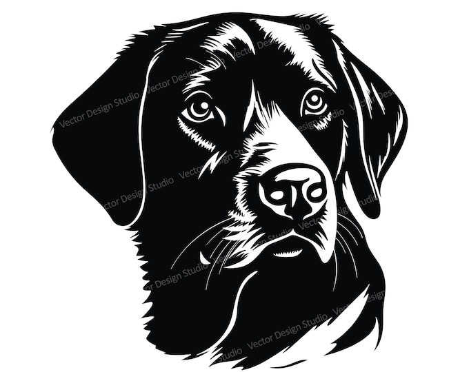 Labrador Retriever SVG Bundle, PNG, Dogs Clipart, Hand Drawn Dog Vector ...